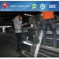 Hot Galvanized Automatic Chicken Cage for Growing Broilers and Layers (A3L90)